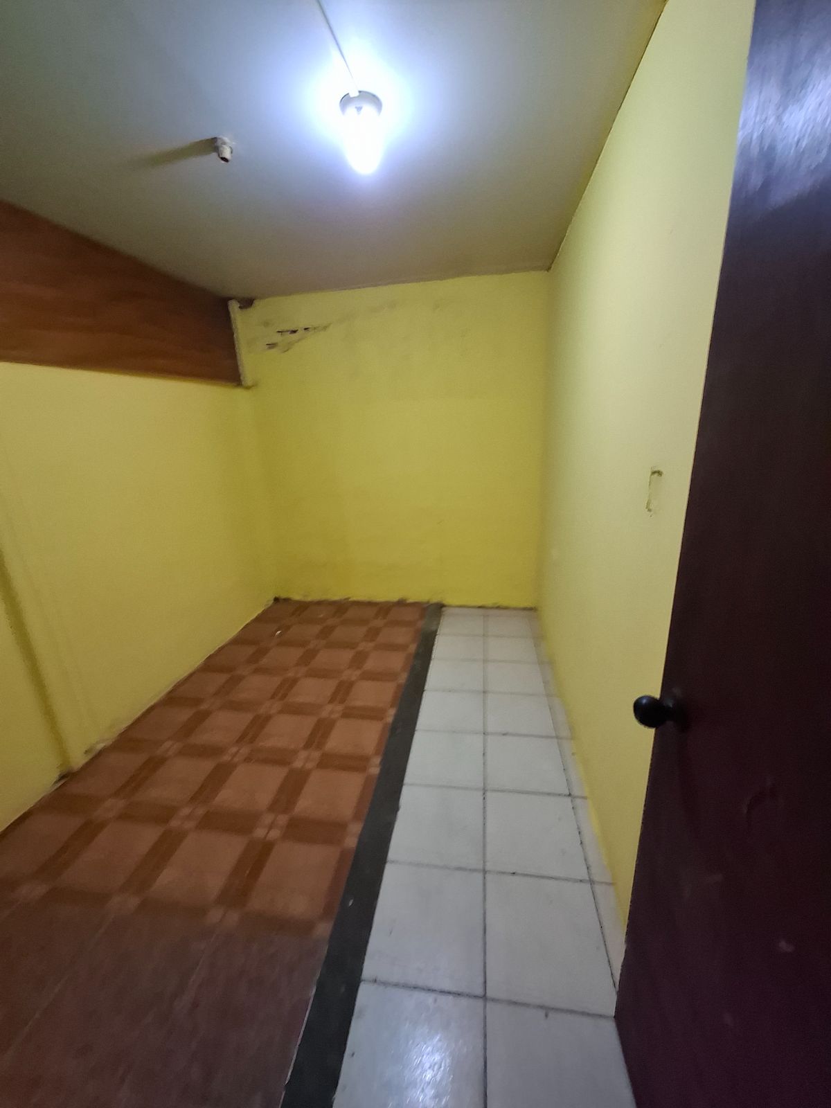 Principe 9_69cffebb7f9ff.jpg